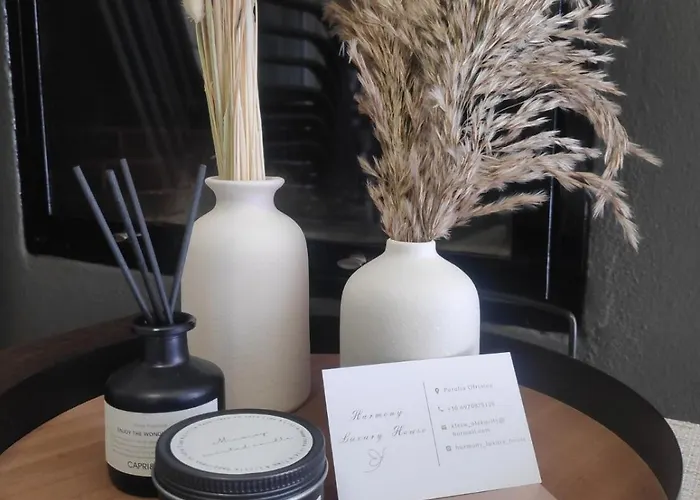 度假居 Harmony Luxury House Orfánion